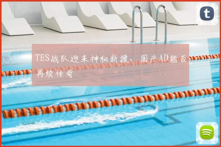 TES战队迎来神秘新援,国产AD能否再续传奇